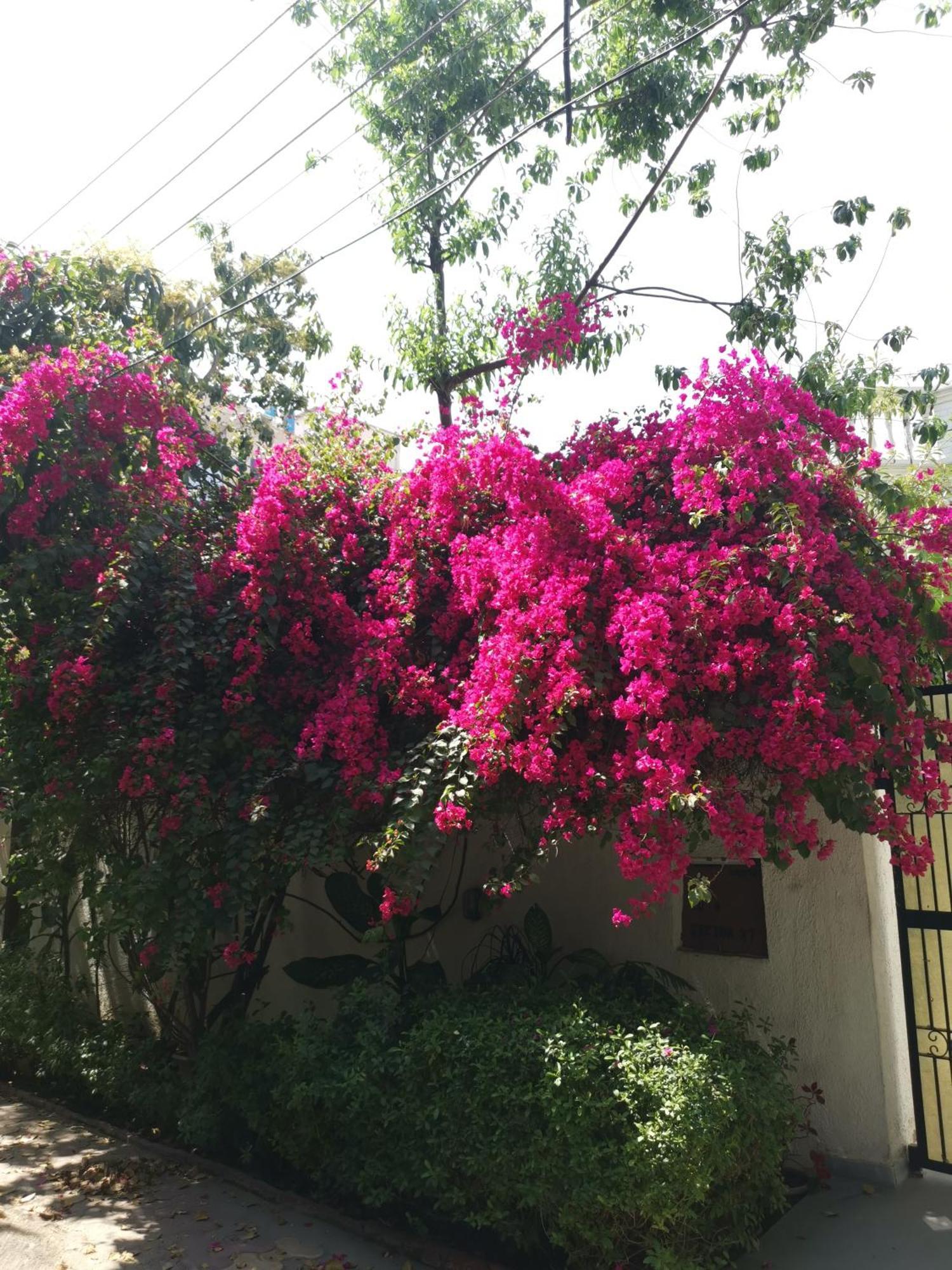 Hotel Pk Residency نويدا المظهر الخارجي الصورة